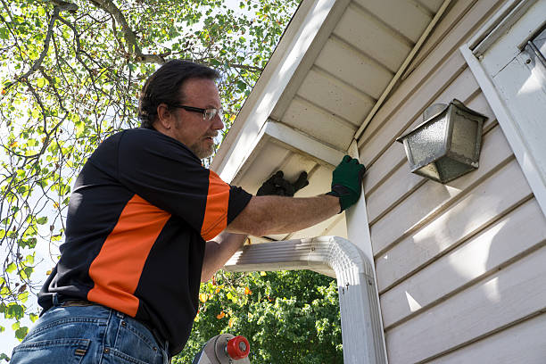 Best Insulated Siding Installation  in Town N Country, FL